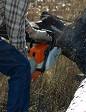 chainsaw.jpg